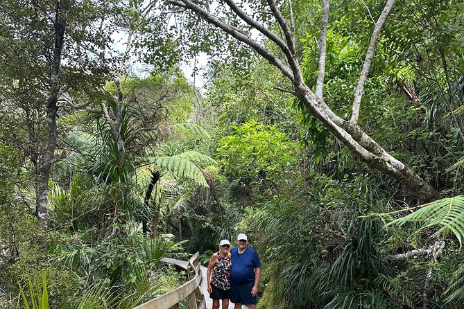 Private Piha Beach, Rainforest Adventure & Mt. Eden with Guide - Is $279 per person good value?