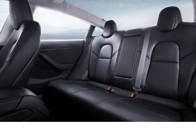 Private Tesla Transfer: Auckland, Tauranga, Rotorua, Taupo - What the Tesla Model 3 changes