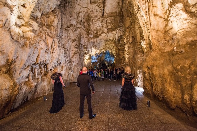 Private Tour [2 Days]: Auckland to Waitomo Caves, Rotorua, Te Puia & Wai-O-Tapu - Te Puia: geysers, Māori culture and a hangi lunch