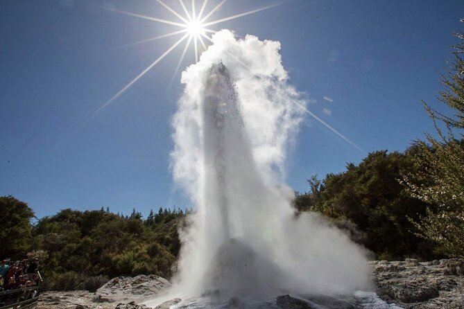 Private Tour [2 Days]: Auckland to Waitomo Caves, Rotorua, Te Puia & Wai-O-Tapu - Wai-O-Tapu and the Lady Knox Geyser