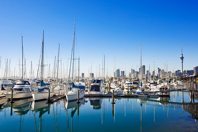 Private Tour: Auckland City and Countryside Tour - Beaches, rainforest, waterfalls, and the west coast