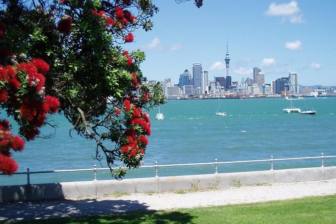 Private Tour: Auckland City and Countryside Tour - Comfort, transport, and the limits of a private car