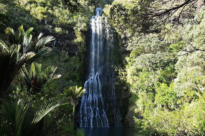 Private Tour: Auckland City and Countryside Tour - Is $277.40 per person fair value?