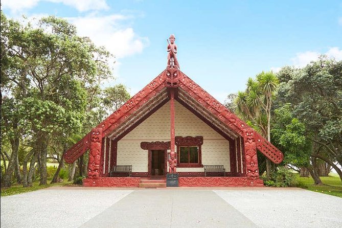 Private Tour: Bay of Islands Day Trip from Auckland - Parry Kauri Park and New Zealand’s giant trees