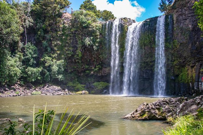 Private Tour: Bay of Islands Day Trip from Auckland - Waitangi Treaty Grounds and the choice to pay for entry