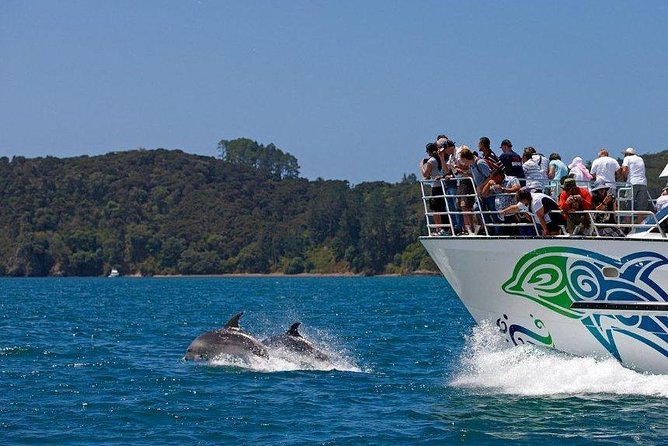 Private Tour: Bay of Islands Day Trip from Auckland - Whangarei Falls, a quick scenic walk
