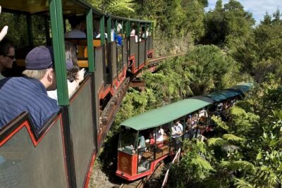 Private Tour – Coromandel Beach, Caves & Forest