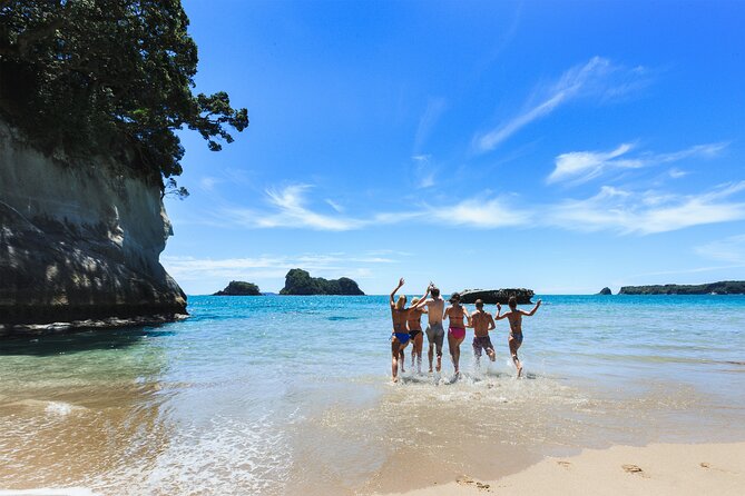 Private Tour - Coromandel Beach, Caves & Forest - Price, timing, and who gets the best value