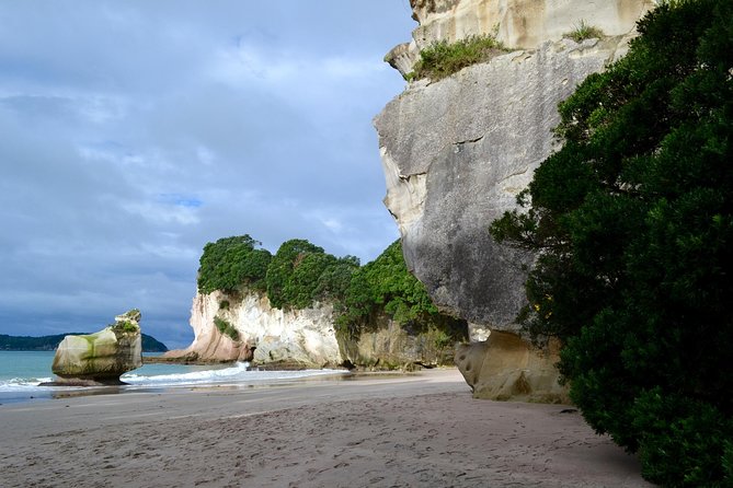 Private Tour - Coromandel Beach, Caves & Forest - Who should book this Coromandel tour