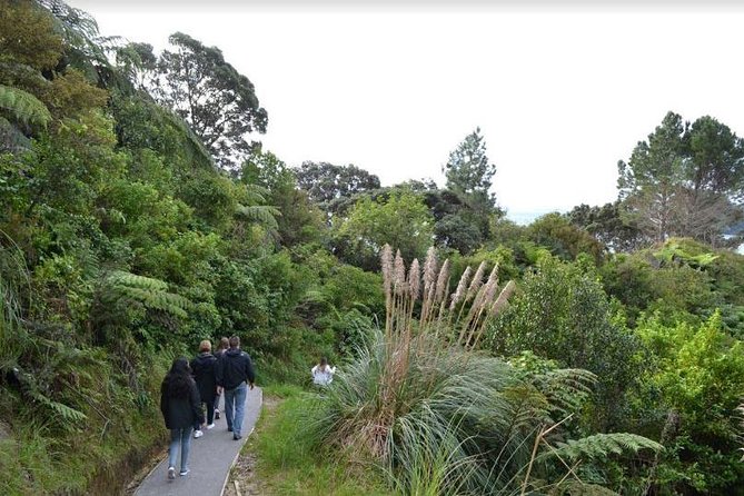 Private Tour - Coromandel Beach, Caves & Forest - Final verdict: a strong premium day from Auckland