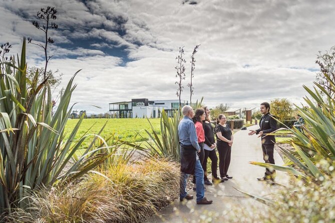 Private tour from Auckland - Waitomo Glowworm Caves, Zealong Tea & Kiwi Bird - Why this Auckland day trip works