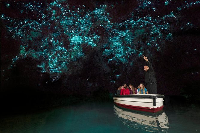Private tour from Auckland - Waitomo Glowworm Caves, Zealong Tea & Kiwi Bird - Private transport and the value of the price
