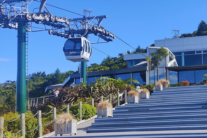 Private Tour: Hobbiton Movie Set, Rotorua Mud Pool & Treewalk - Who will enjoy this day most?