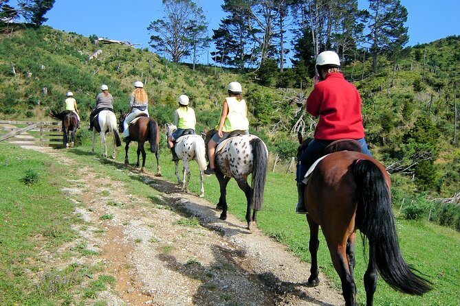 Private Tour - Horse Riding, Wine Tasting and Art Trail - Lunch, snacks and the practical value of private transport
