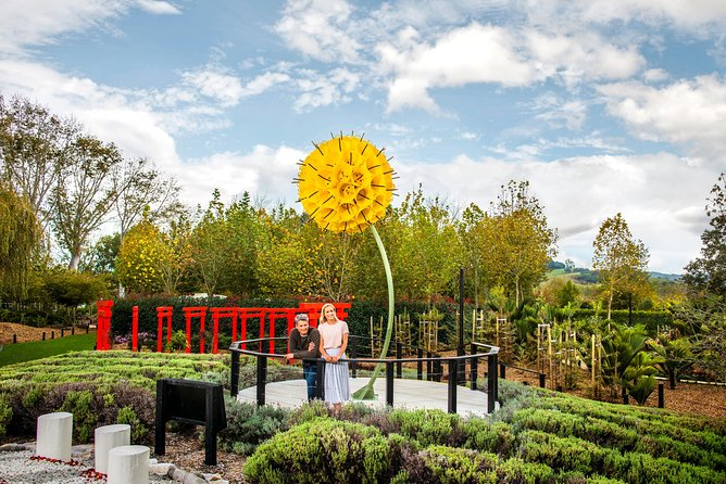 Private tour - Matakana Art & Wine Village - Key points to know