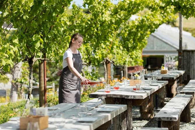 Private tour - Matakana Art & Wine Village - Why Matakana makes a good Auckland escape