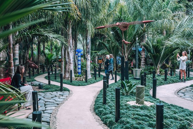 Private tour - Matakana Art & Wine Village - A private vehicle changes the feel of the day