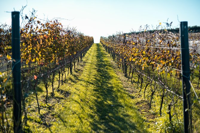 Private Tour - Waiheke Island Luxury Experience - A private start from Auckland at 9:00 a.m.