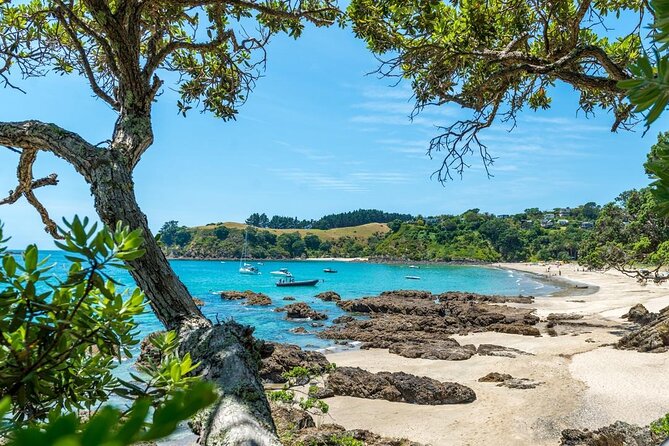 Private Tour - Waiheke Island Luxury Experience - Is $617.47 per person good value?