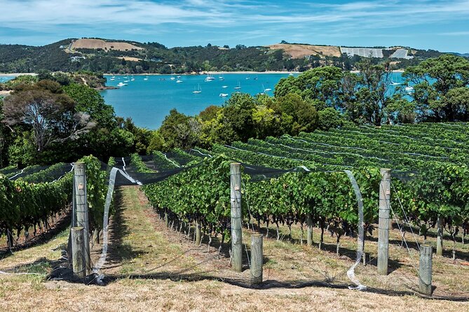 Private Tour - Waiheke Island Luxury Experience - Who should book this Waiheke experience?