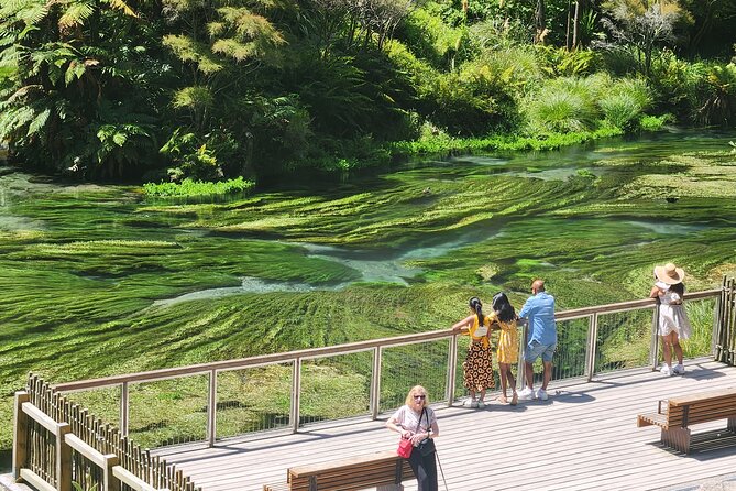 Private Tour WaiOtapu & Huka Falls & Blue springs from Auckland - Key points before you book