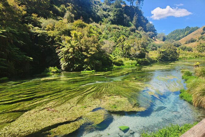 Private Tour WaiOtapu & Huka Falls & Blue springs from Auckland - Rotorua gives the day its geothermal character