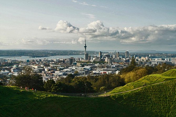 Private Tour: Waitomo Caves Day Trip from Auckland - Driver-guide quality can shape the day