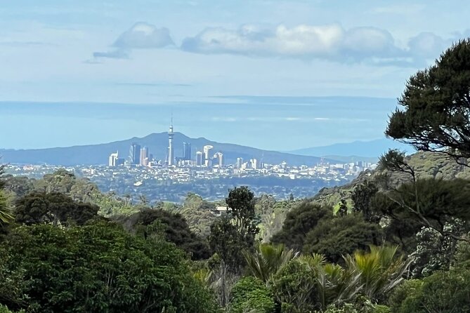 Private Transfer From Auckland International Airport To Auckland City - Communication is a major part of the service
