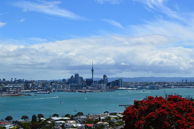 Private Transfer From Auckland International Airport To Auckland City - Who will get the most value