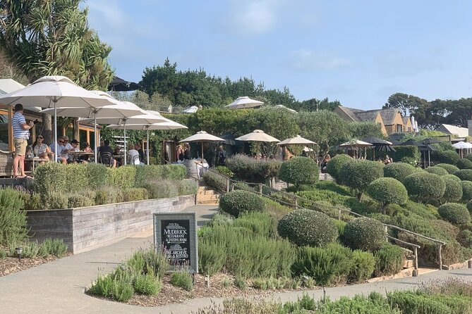 Private Waiheke Food & Wine Tour - Why this private Waiheke day works