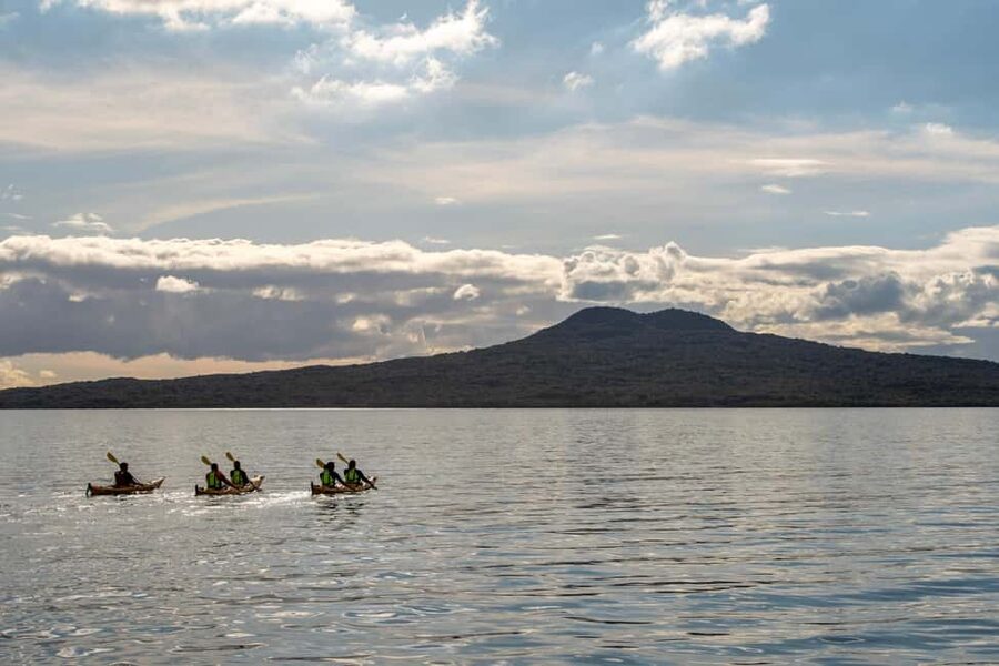 Rangitoto Island: Sea Kayak & Summit Hike Day Trip - Why Rangitoto works so well by kayak