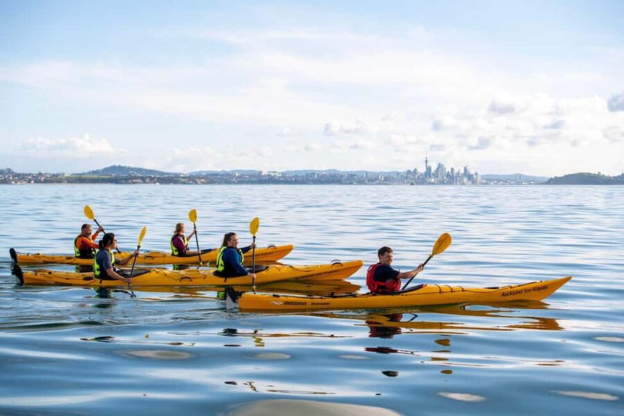 Rangitoto Island: Sea Kayak & Summit Hike Day Trip - The summit view over Auckland