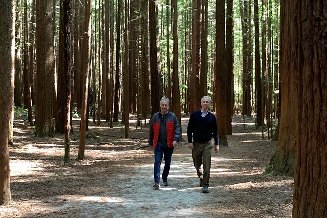 Redwood Forest , Blue Springs & Huka Falls Day Tour from Auckland - The guide can shape the feel of the day