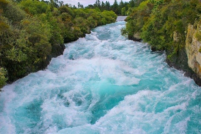 Redwood Forest , Blue Springs & Huka Falls Day Tour from Auckland - Huka Falls: short walk, serious force