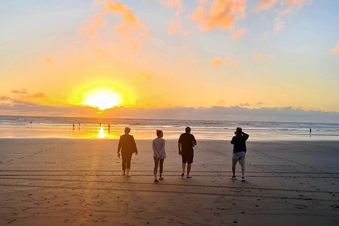 Romantic Auckland Sunset tour with Winery & Thermal pool - Who should book this evening
