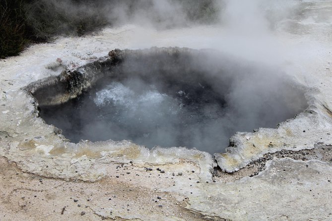 Rotorua and Waitomo Caves Day Trip from Auckland -Smaller Groups - A quick look at Lake Rotorua
