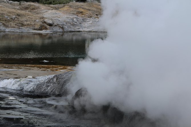 Rotorua and Waitomo Caves Day Trip from Auckland -Smaller Groups - Waitomo Glowworm Caves: the strongest reason to book