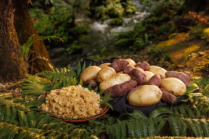 Rotorua Cultural & Geothermal Small Group Tour From Auckland - Who will enjoy this tour most