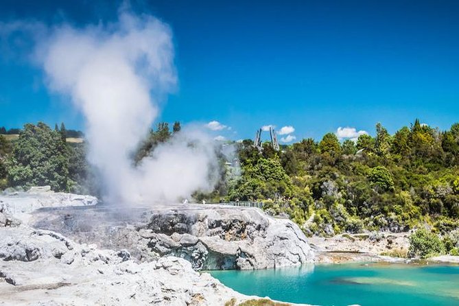Rotorua Full Day Private Tour from Auckland - The real appeal: geothermal Rotorua in one long day
