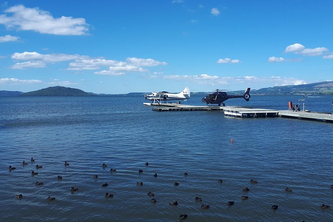 Rotorua Full Day Private Tour from Auckland - What the private format really changes
