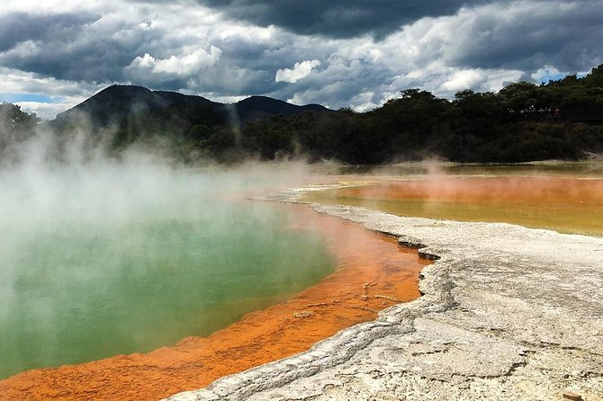 Rotorua Highlights Tour from Auckland with Optional Extras - Te Puia for Māori culture and geothermal power