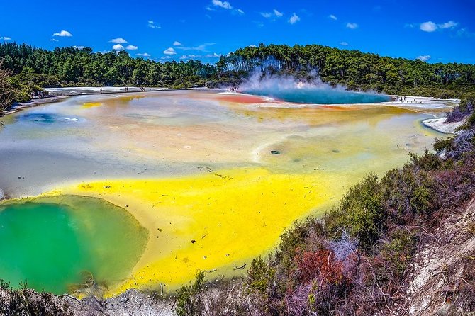 Rotorua Highlights Tour from Auckland with Optional Extras - Waikato countryside and a stop in Tirau