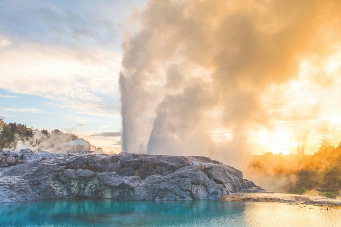 Rotorua Highlights Tour inc. Te Puia Tour, Lunch & Cultural Show - Why Te Puia makes this day trip worthwhile
