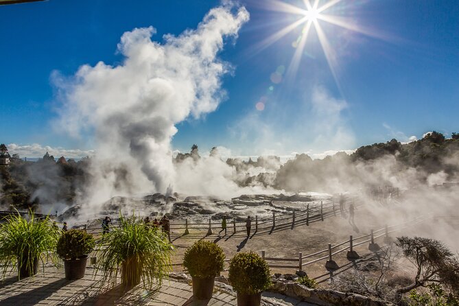 Rotorua Highlights Tour inc. Te Puia Tour, Lunch & Cultural Show - What you see on the road south from Auckland