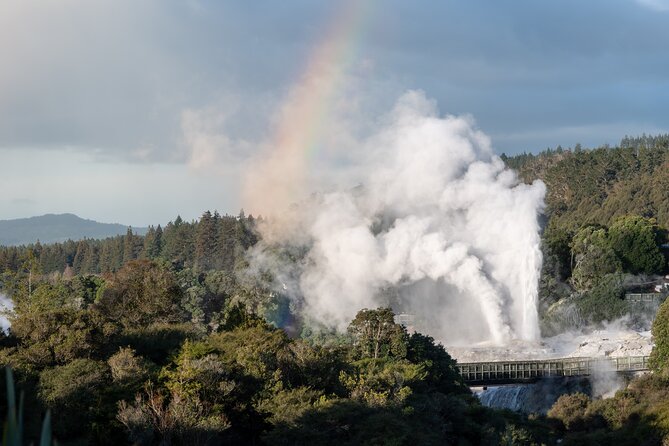Rotorua Highlights Tour inc. Te Puia Tour, Lunch & Cultural Show - Who should choose this Rotorua tour