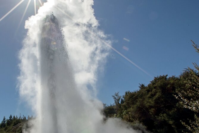Rotorua Māori Village and Activity Combinations from Auckland - Whakarewarewa, where Māori culture meets geothermal ground