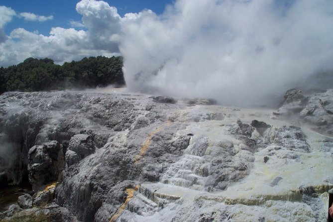 Rotorua Small-Group Day Tour from Auckland - Key points at a glance