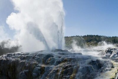 Rotorua Small-Group Day Tour from Auckland