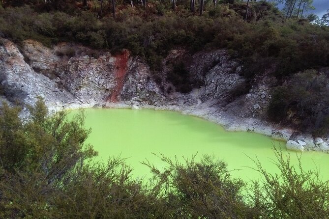 Rotorua Small-Group Day Tour from Auckland - Timing problems to understand before booking