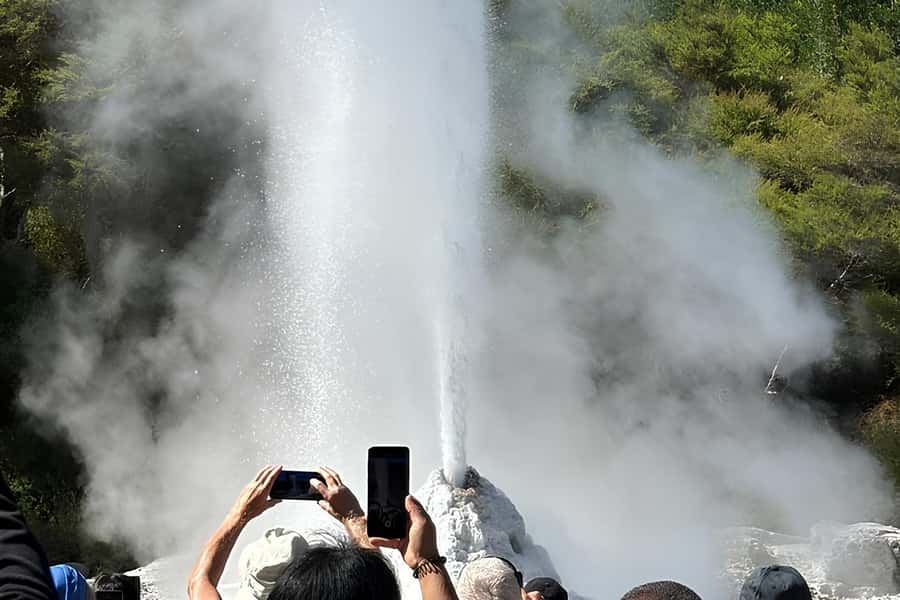 Rotorua & Taupo DayTour Waiotapu & Huka Falls from Auckland - Lady Knox Geyser adds a set-piece moment